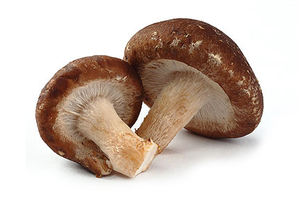 Шиитаке грибы